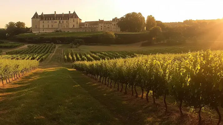 Hvad-er-chenin-blanc