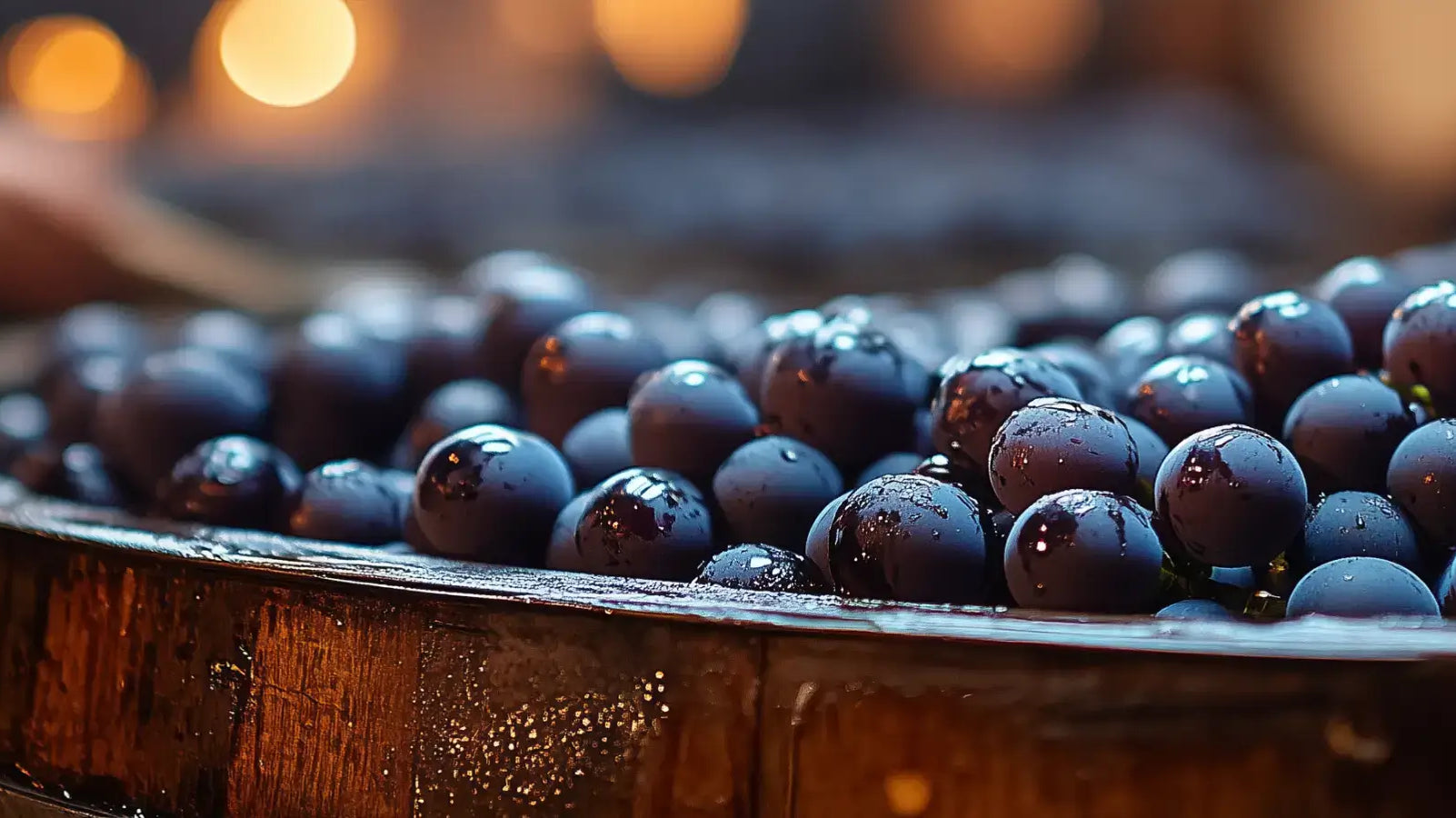 Hvad er chaptalisering