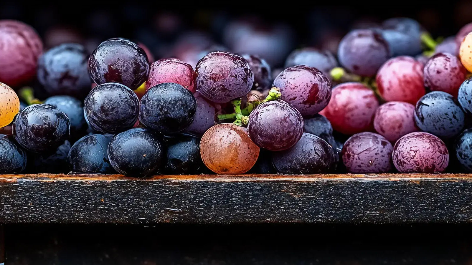 Hvad er maceration carbonique