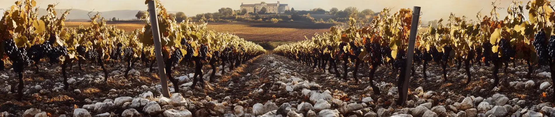 Hvad-er-Chateauneuf-du-Pape