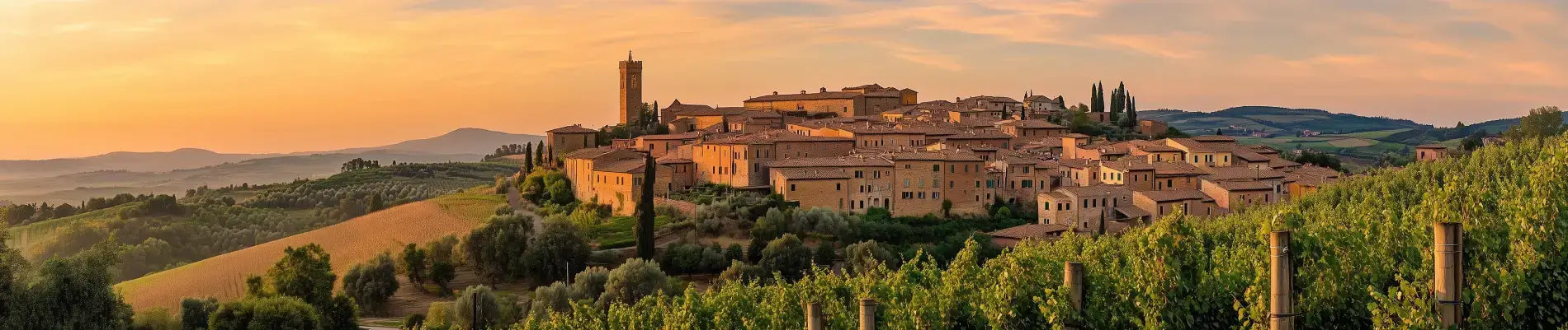 Hvad-er-Montalcino