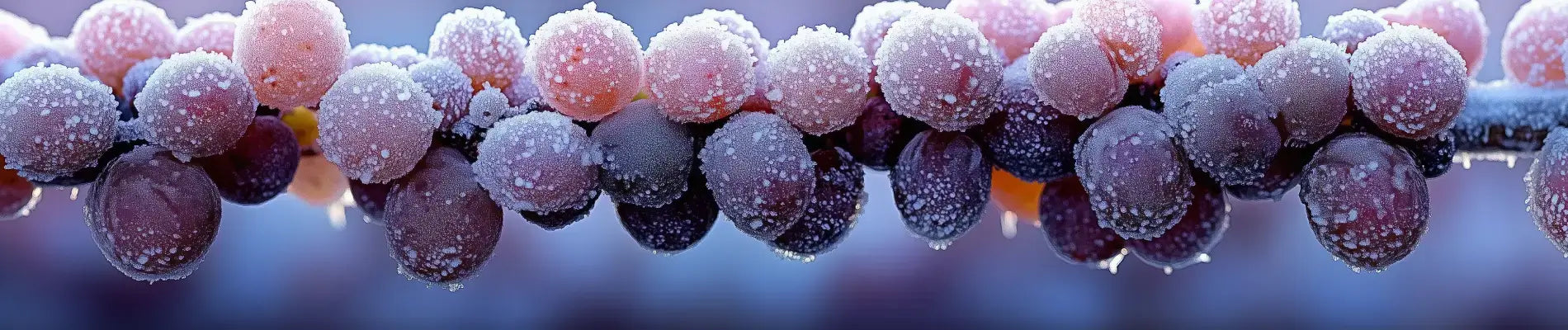 Hvad er eiswein