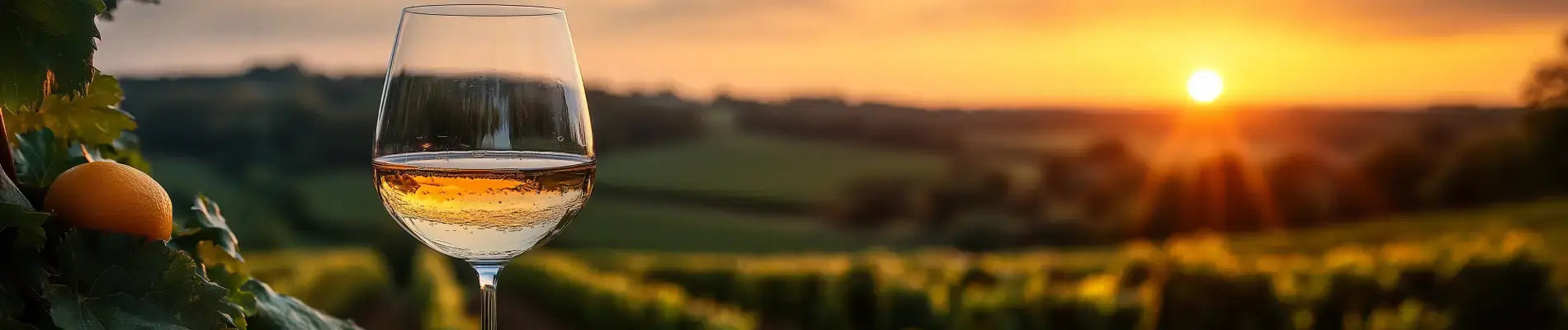 Hvad er en pouilly-fumé