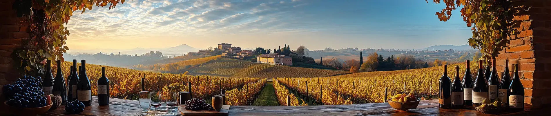 Hvad er Langhe