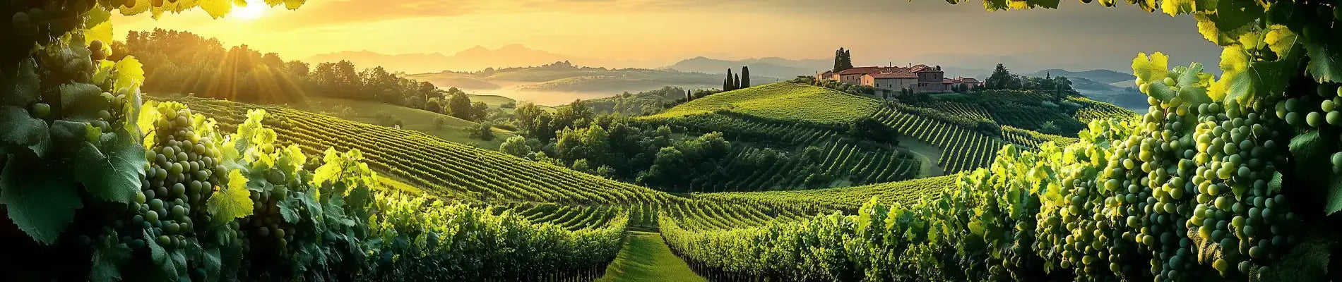 Hvad er soave