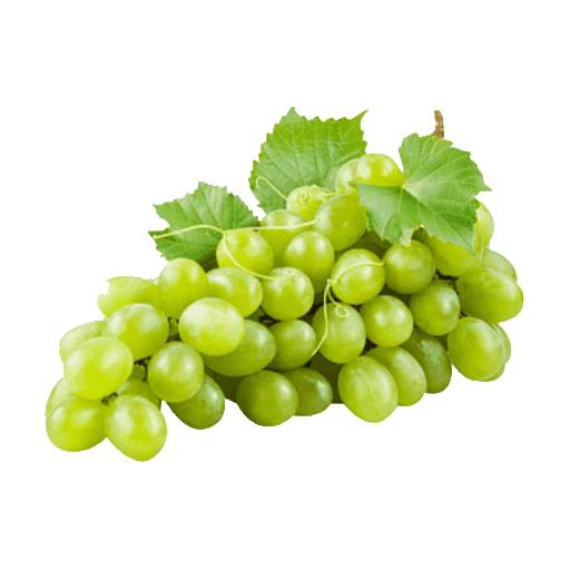 Trebbiano