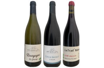 Beaujolais smagekasse - Vin for Begyndere Podcast
