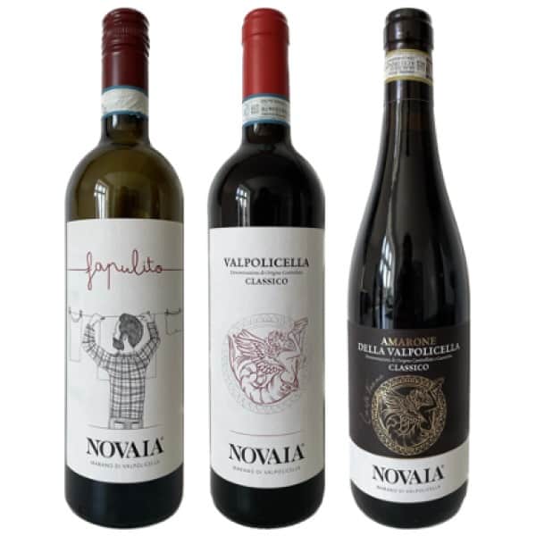 Vin for Begyndere Valpolicella Novaia smagekasse