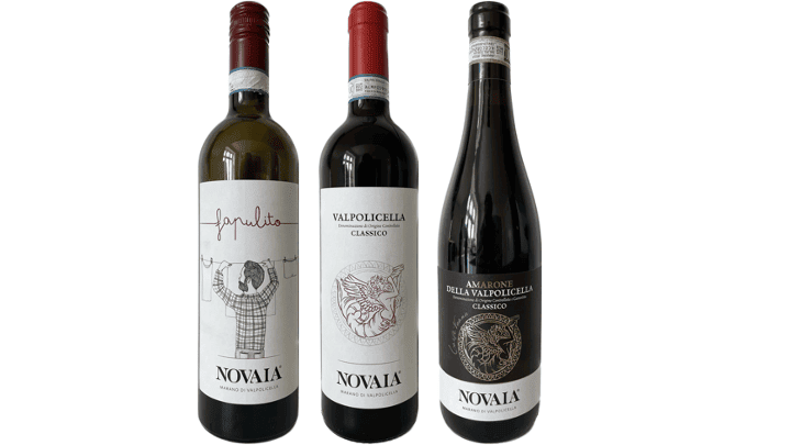 Vin for Begyndere Valpolicella Novaia smagekasse